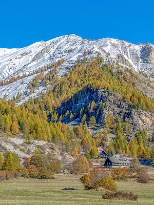L'Anneau - Qui en sortira vainqueur ?