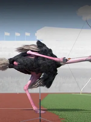 Athleticus S1 E3