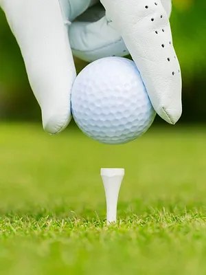 PGA Tour Champions Year in Review