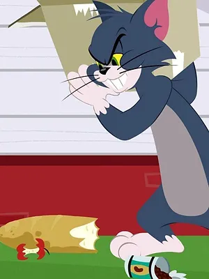 Tom et Jerry Show S1 E29