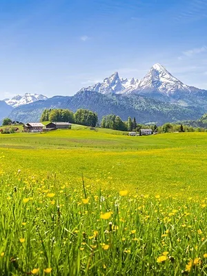 Suisse : des citadins bénévoles dans les alpages