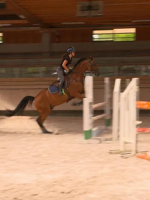 Au galop !