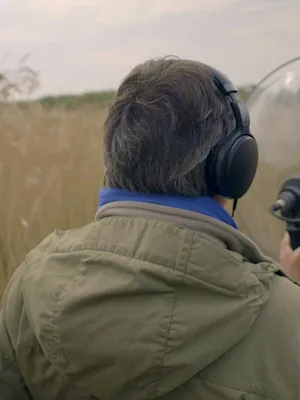 Harchies, le son des oiseaux du marais