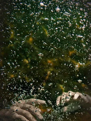 Dark Waters : les rivages de la mort