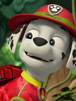 Paw Patrol, la Pat'Patrouille S6 E6