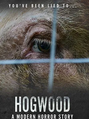 Hogwood: A Modern Horror Story