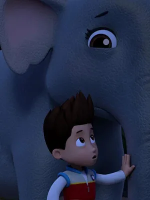 Paw Patrol, la Pat'Patrouille S7 E26