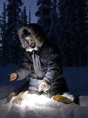 Alaska : nouvelle vie