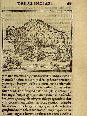 Bison : une histoire de l'Amérique