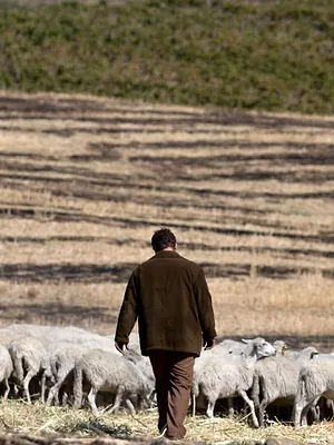 Il Cacciatore S1 E12