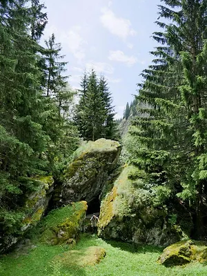 La Suisse, notre pays sauvage