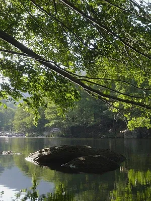 Quatre saisons dans les Cévennes