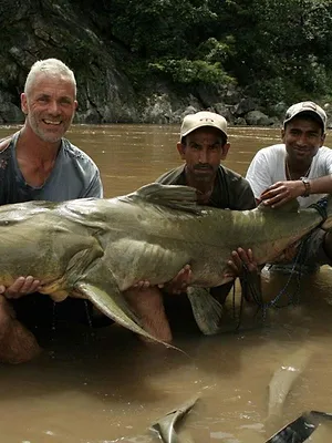 River Monsters