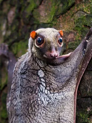 Merveilles de la nature