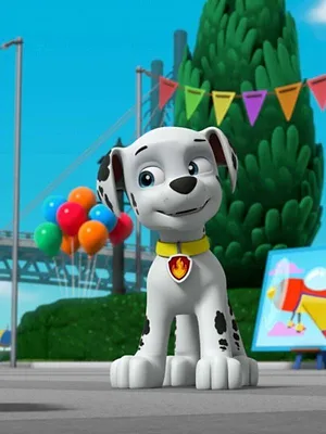 Paw Patrol, la Pat'Patrouille S5 E26