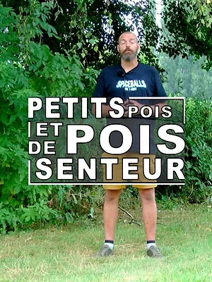 Petit pois et pois de senteur