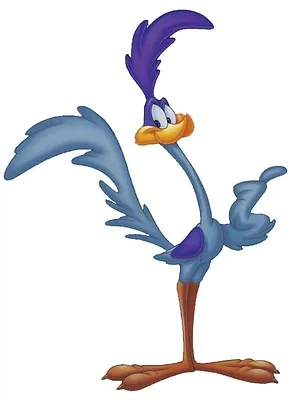 Looney Tunes : Cours, lapin, cours