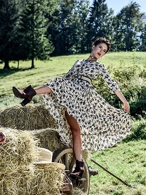 Racko - Ein Hund für alle Fälle S2 E7