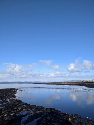 Vétérinaires en terre d'Ecosse