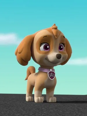 Paw Patrol, la Pat'Patrouille S8 E13