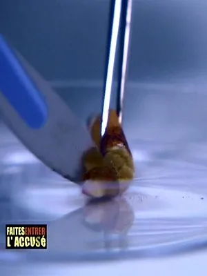 Faites entrer l'accusé