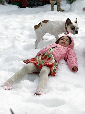 Modern Family S3 E11