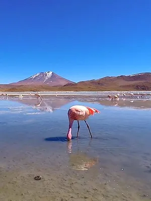 Au-delà de la mort : les secrets des rites funéraires