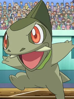 Pokémon: Noir et Blanc S14 E41
