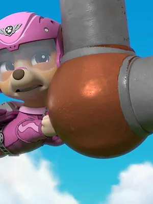 Paw Patrol, la Pat'Patrouille S10 E10