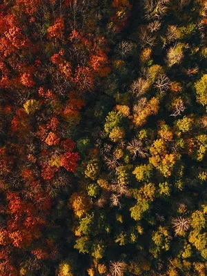 Voir l'automne, une saison en France