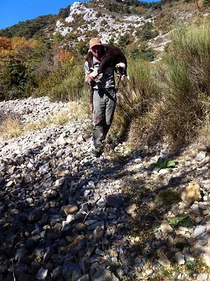A hauteur de chamois