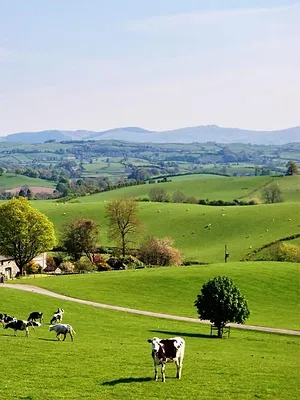 Celebrity Escape to the Country