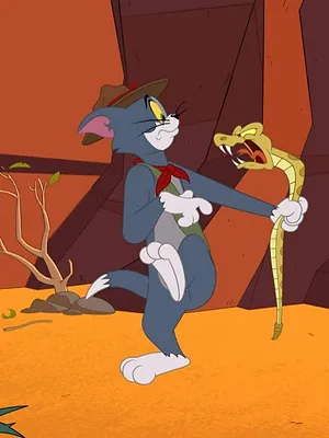 Tom et Jerry Show S5 E6