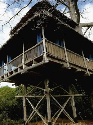 Echo-logis