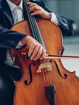 November Music : R. Frerichs/H. Alizadeh/Cello8ctet