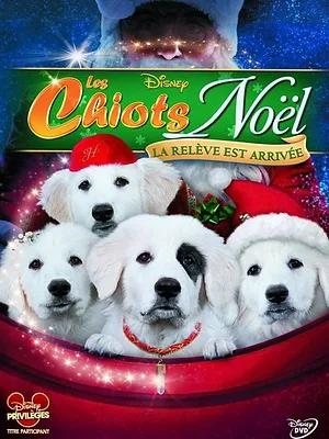Les Chiots Noël, la relève est arrivée