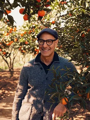Tucci in Italy