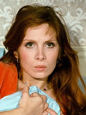 La chatte sans pudeur