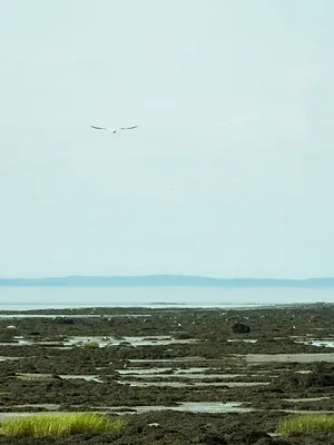 Fleuve en eaux troubles