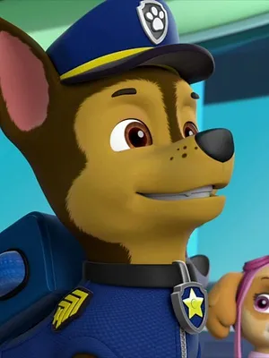 Paw Patrol, la Pat'Patrouille S6 E20