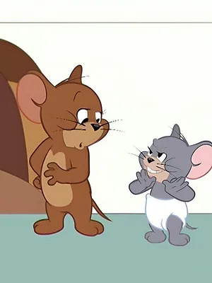 Tom et Jerry Show S4 E75