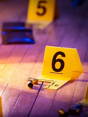 Mon voisin, ce tueur