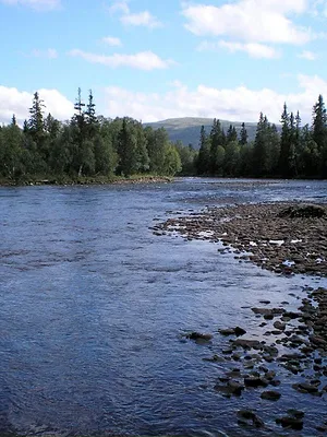 Floßfahrt in Schweden