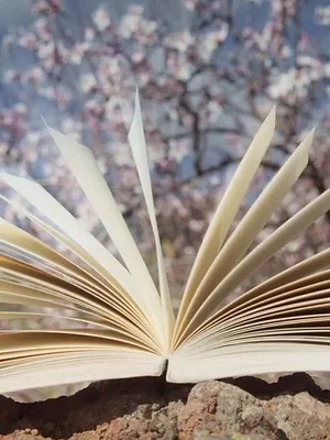 La rencontre, francophonie et ambassadeurs