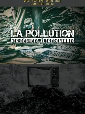 La Pollution des déchets électroniques