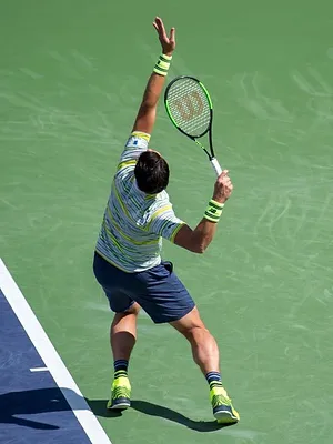 Tennis : Tournoi ATP de Tokyo