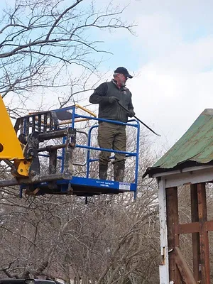 Trésors à l'abandon