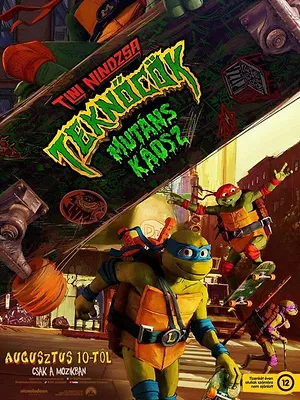 Ninja Turtles : Teenage Years