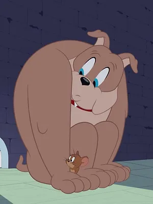 Tom et Jerry Show S5 E5