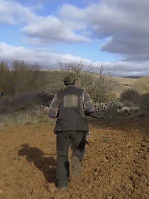 Tous fous du calibre 20